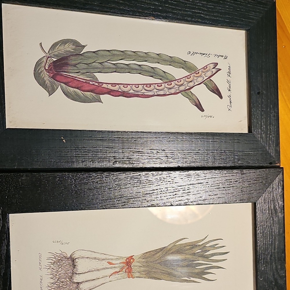 Rachel Hall Green Framed Botanical Vegetable Prints Numbered Signed Set